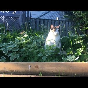 Meet your Posher, Meghan